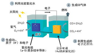 枫叶汽车油箱容积多少